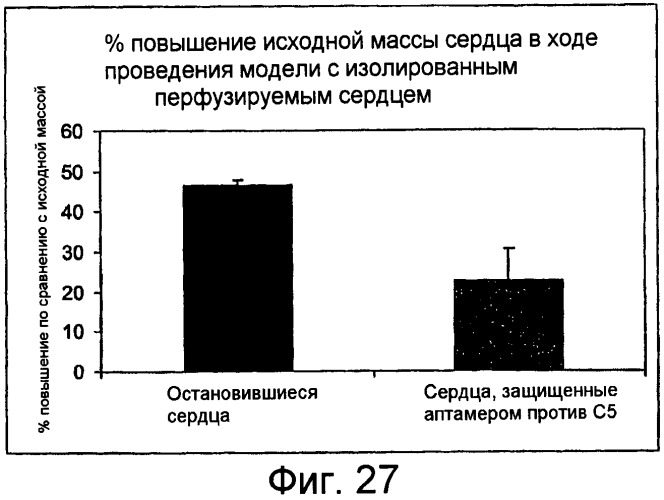Связывающие комплемент аптамеры и средства против с5, пригодные для лечения глазных нарушений (патент 2477137)