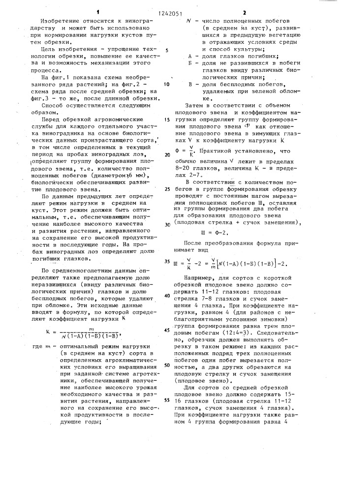 Способ обрезки растений винограда (патент 1242051)