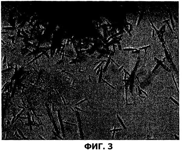Фармацевтическая композиция для наружного применения (патент 2419429)