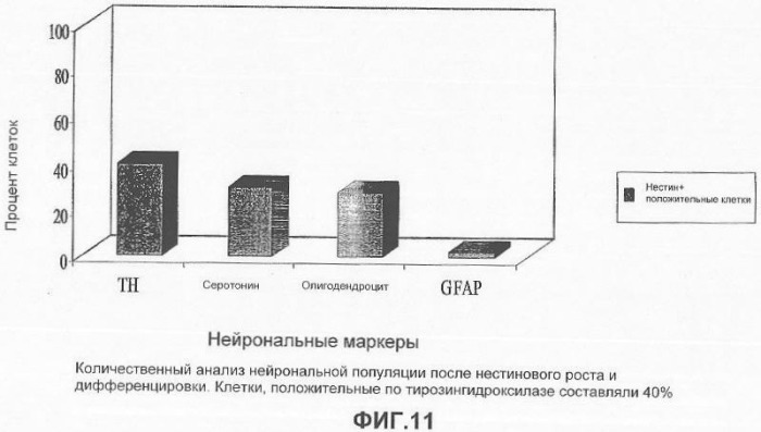 Получение терминально дифференцированных дофаминергических нейронов из эмбриональных стволовых клеток человека (патент 2345133)