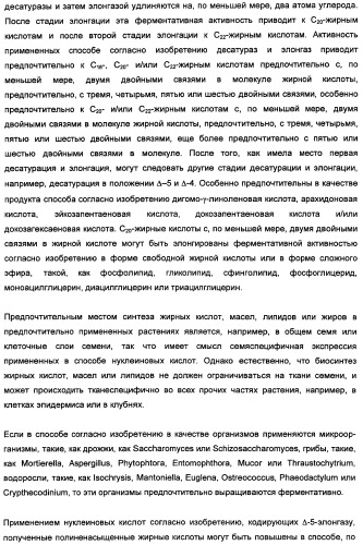 Способ получения полиненасыщенных кислот жирного ряда в трансгенных организмах (патент 2447147)