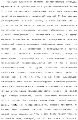 Гены corynebacterium glutamicum, кодирующие белки метаболических путей (патент 2306339)