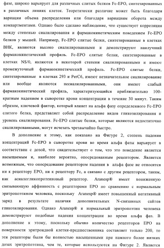 Fc-эритропоэтин слитый белок с улучшенной фармакокинетикой (патент 2370276)