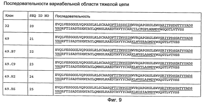 Анти-тат226 антитела и иммуноконъюгаты (патент 2448980)