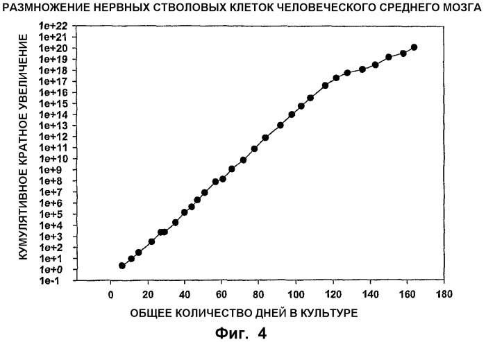 Трансплантация нервных клеток для лечения нейродегенеративных состояний (патент 2434636)