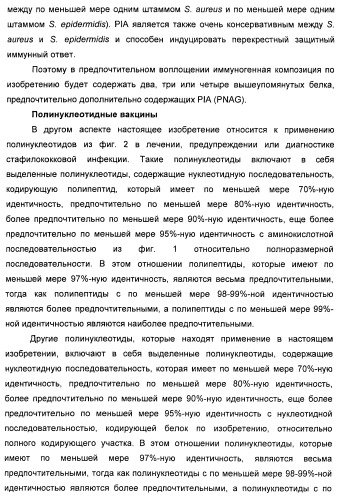 Иммуногенная композиция для применения в вакцинации против стафилококков (патент 2419628)