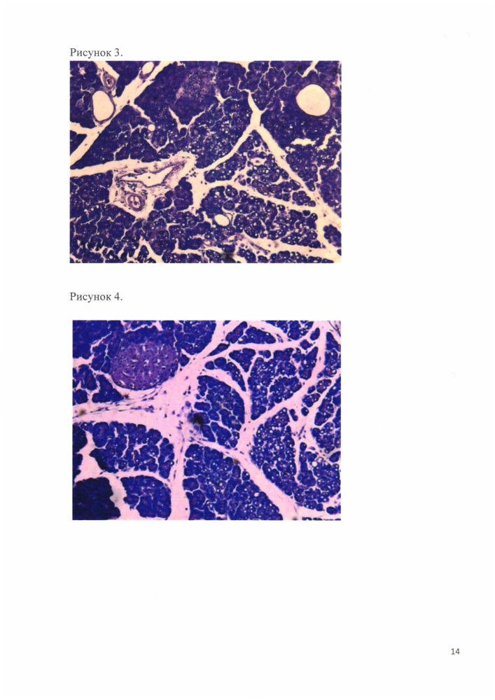 Лекарственное средство для ветеринарии, обладающее противовоспалительным, цитопротекторным действием и способствующее сохранению структуры и функции поджелудочной железы при остром и хроническом панкреатите (патент 2650644)