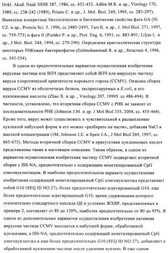 Упакованные иммуностимулирующей нуклеиновой кислотой частицы, предназначенные для лечения гиперчувствительности (патент 2451523)