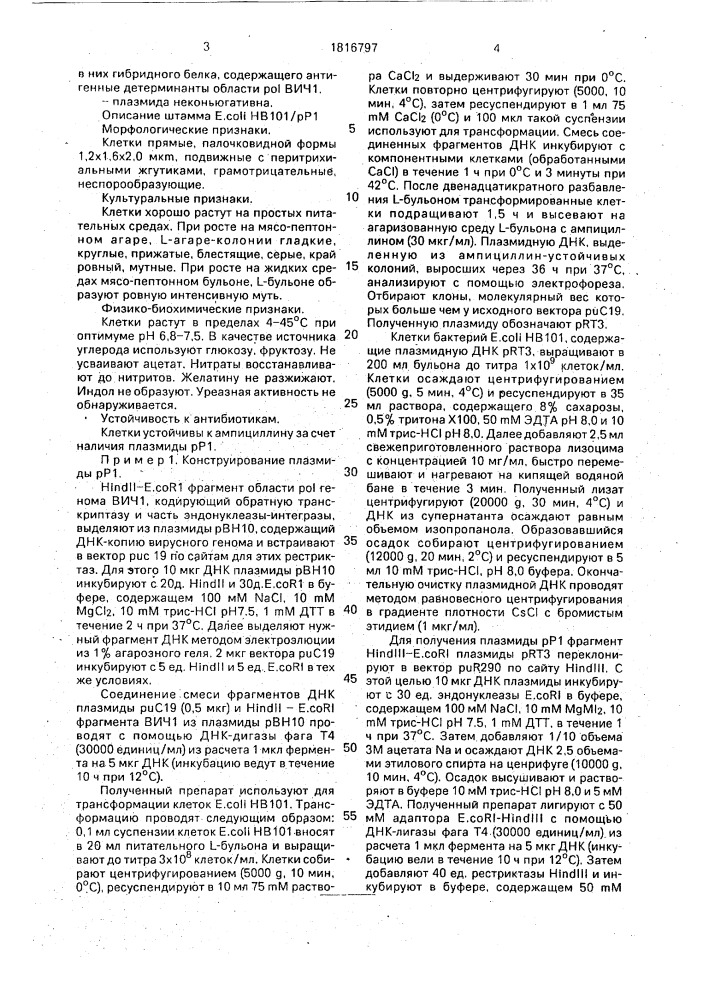 Рекомбинантная плазмидная днк рр1, определяющая синтез гибридного белка, обладающего антигенными свойствами вируса иммунодефицита человека 1, способ ее конструирования и штамм бактерий еsснеriснiа coli - продуцент гибридного белка, обладающего антигенными свойствами вируса иммунодефицита человека 1 (патент 1816797)