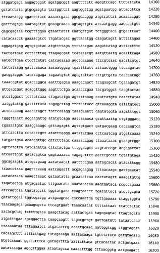 Бактериофаг, обладающий активностью против pseudomonas aeruginosa, белки бактериофага и способы их применения (патент 2580248)