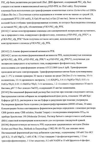 Использование фосфокетолазы для продукции полезных метаболитов (патент 2322496)