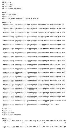 Композиции антител (патент 2426554)