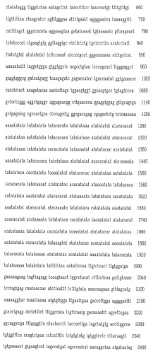Экспрессионная система для повышения уровня экспрессии гена, молекула нуклеиновой кислоты, клетка, трансгенное животное и набор (патент 2469089)