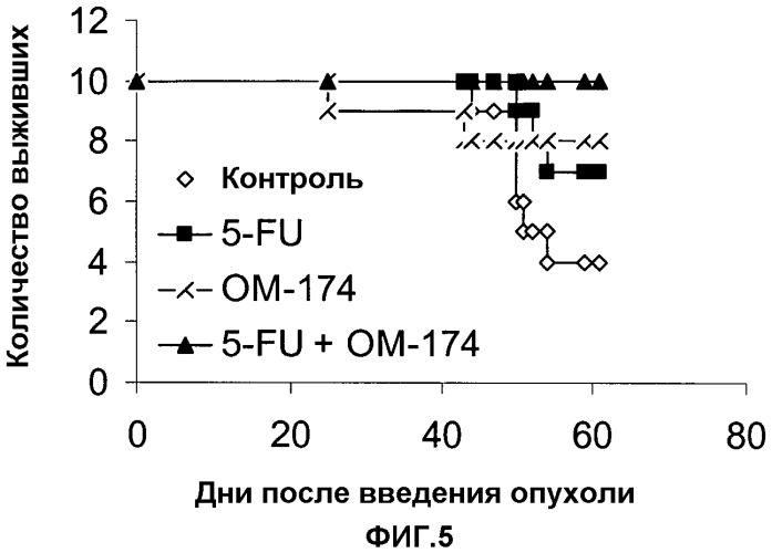 Комбинированная противоопухолевая терапия и фармацевтические композиции для нее (патент 2396960)