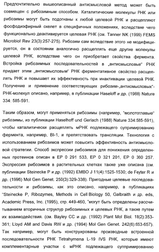 Способ повышения стойкости к стрессовым факторам в растениях (патент 2375452)