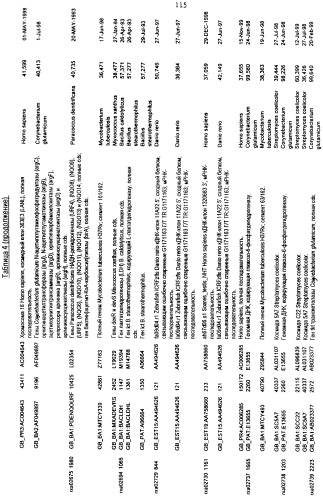 Гены corynebacterium glutamicum, кодирующие белки, участвующие в метаболизме углерода и продуцировании энергии (патент 2310686)