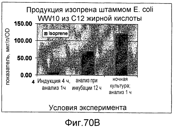 Полимеры изопрена из возобновляемых источников (патент 2505605)