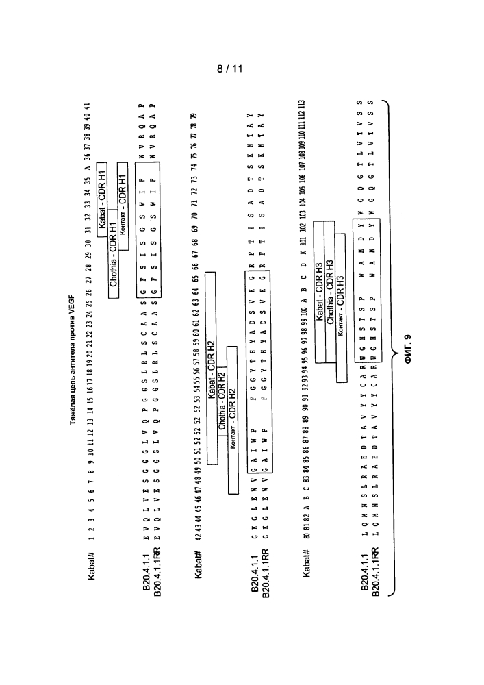 Антитела против фактора роста эндотелия сосудов (vegf) (патент 2639506)