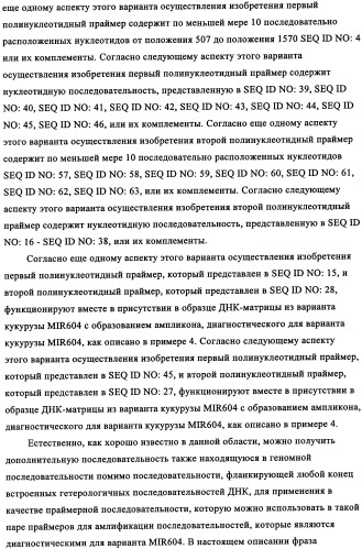 Вариант кукурузы mir604 (патент 2351122)