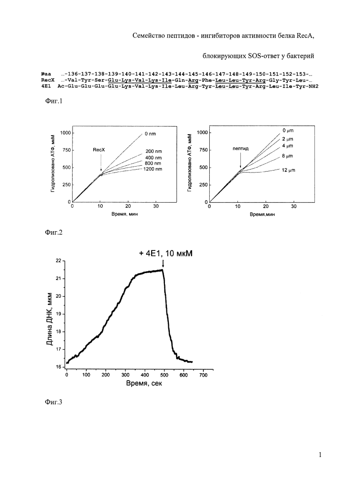 Семейство пептидов - ингибиторов активности белка reca, блокирующих sos-ответ у бактерий (патент 2621862)