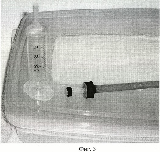 Способ биологической борьбы с огневкой plodia interpunctella с помощью наездников bracon hebetor в помещениях для разведения шмелей (патент 2415571)