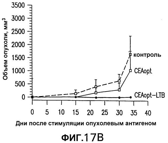 Слитые белки карциноэмбрионального антигена (патент 2380375)