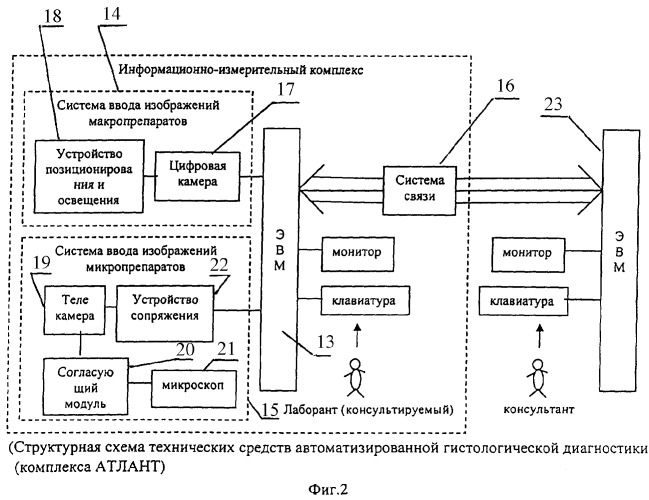 Способ микроскопического исследования образца (патент 2318201)