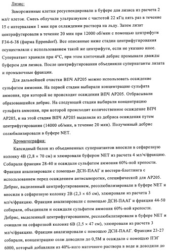 Композиции вакцин, содержащие наборы антигенов в виде амилоида бета 1-6 (патент 2450827)