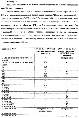 Конъюгаты g-csf (патент 2307126)