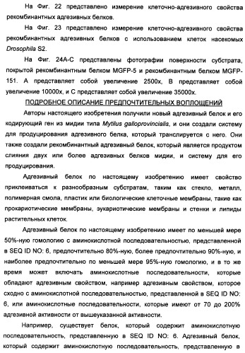 Биоадгезив мидии (патент 2349599)