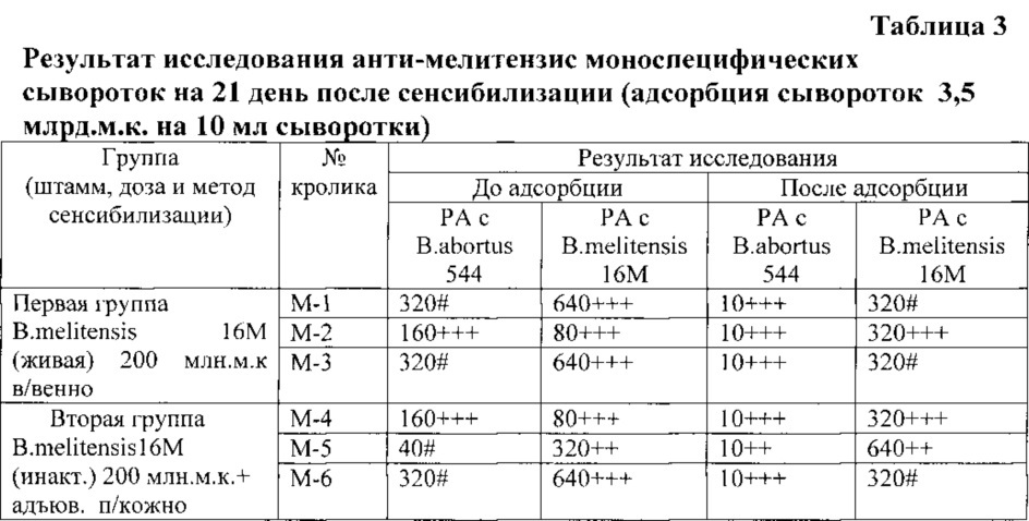 Способ получения бруцеллёзной моноспецифической сыворотки anti-melitensis (патент 2613901)