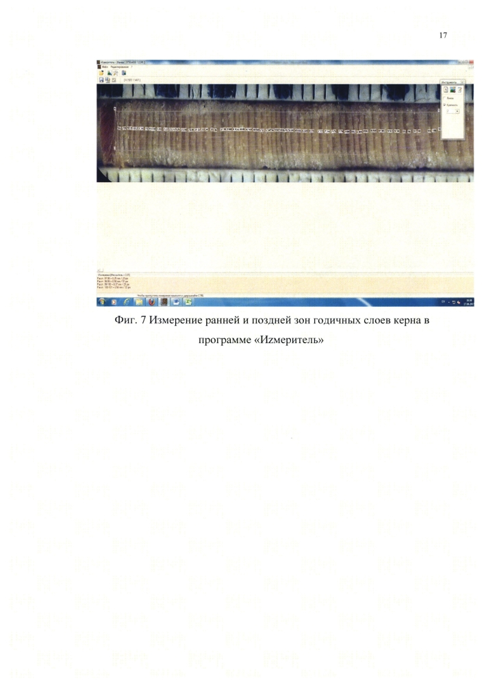 Способ определения смоляных ходов древесины (патент 2604922)
