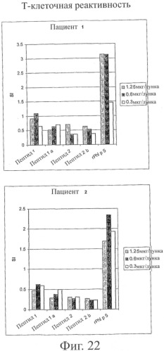 Гипоаллергенный слитый белок, молекула нуклеиновой кислоты, кодирующая его, вектор экспрессии, клетка-хозяин, вакцинная композиция и его применение (патент 2486206)