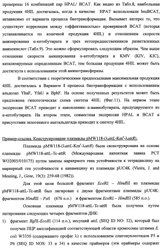 Способ производства 4-гидрокси-l-изолейцина или его соли (патент 2355767)