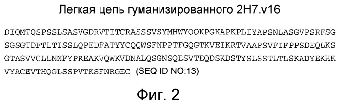 Способ лечения васкулита (патент 2411956)