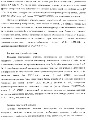 Способ получения l-аминокислоты с использованием бактерии, принадлежащей к роду escherichia (патент 2395579)