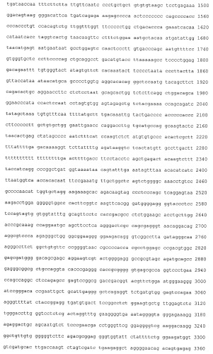 Анти-глипикан 3-антитело, имеющее модифицированную сахарную цепь (патент 2451030)