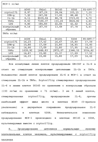 Новый лиганд рецептора цитокина zcytor17 (патент 2360923)