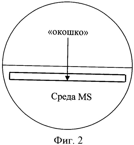 Способ укоренения растений, полученных в культуре in vitro (патент 2423045)