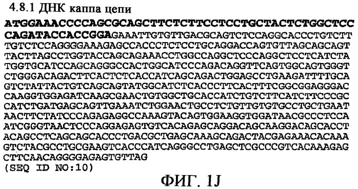 Применение антител к ctla-4 (патент 2346702)