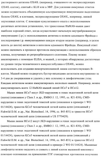 Антитела к ох40l (патент 2395523)
