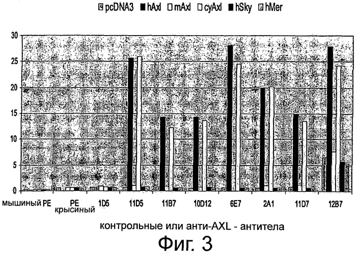 Axl-антитела (патент 2506276)