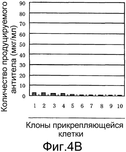 Способ получения белка (патент 2563514)