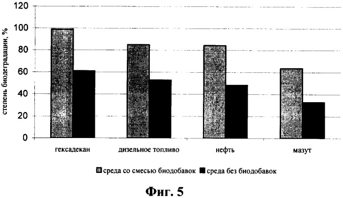 Способ выделения и активации консорциума аборигенных микроорганизмов-деструкторов нефти и нефтепродуктов (патент 2352630)