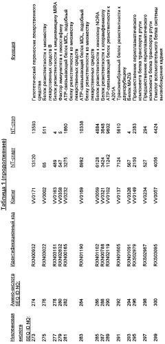 Гены corynebacterium glutamicum, кодирующие белки резистентности и толерантности к стрессам (патент 2303635)