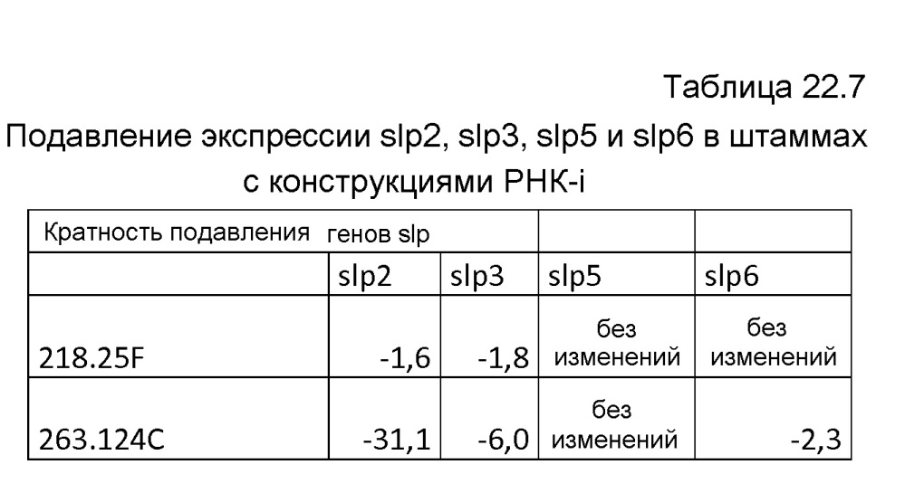 Клетка нитчатых грибов с дефицитом протеаз и способы ее применения (патент 2645252)