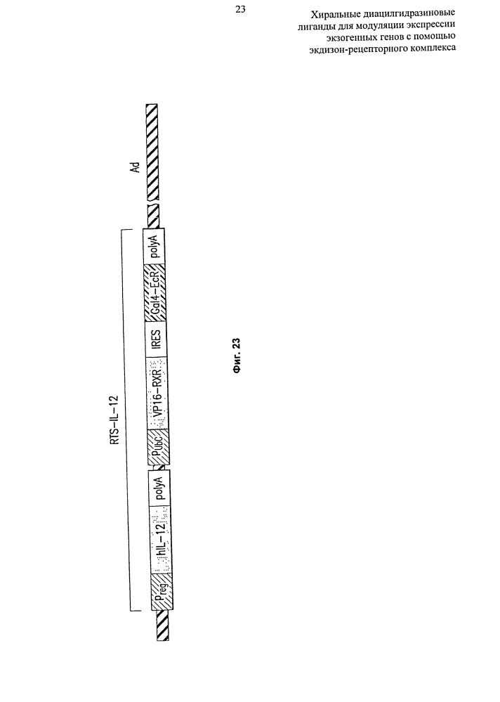 Хиральные диацилгидразиновые лиганды для модуляции экспрессии экзогенных генов с помощью экдизон-рецепторного комплекса (патент 2640807)