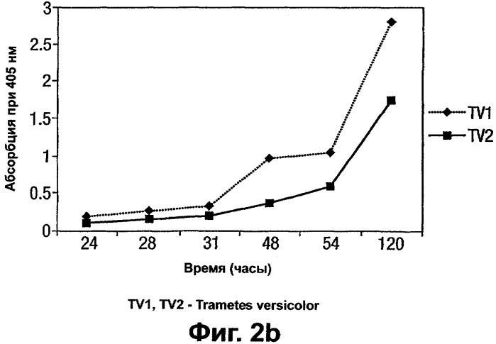 Средство и способ очистки текстильных тканей (патент 2352623)