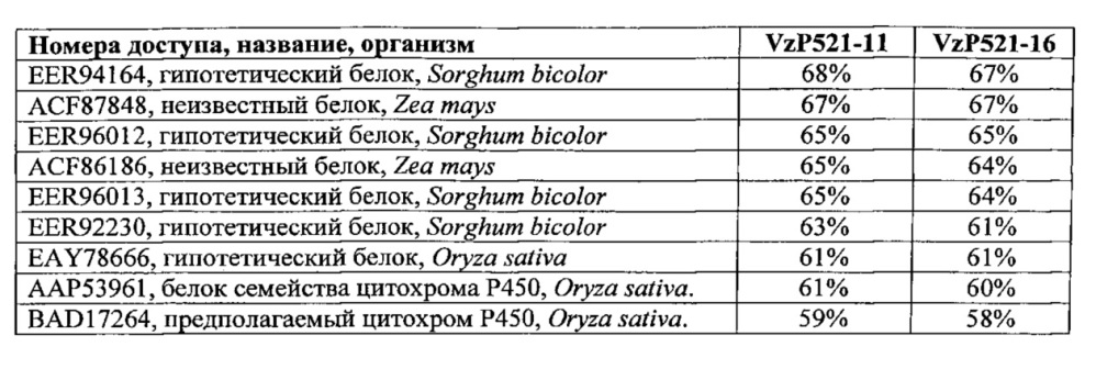 Цитохром p450 и его применение для энзиматического окисления терпенов (патент 2625224)