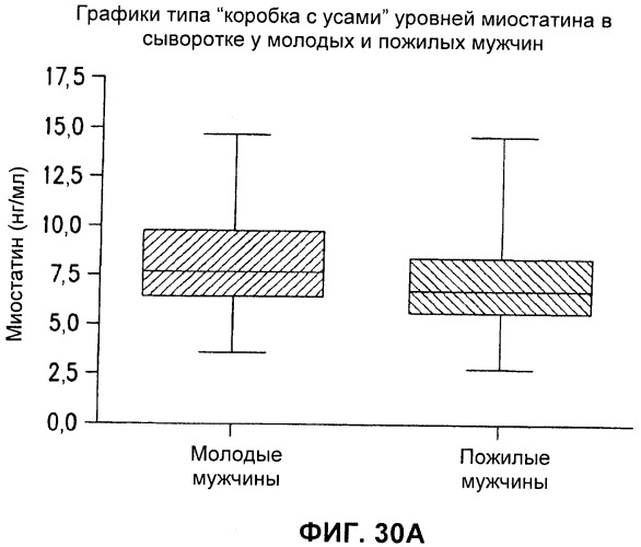 Антитела к gdf8 и их применения (патент 2447084)